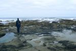 PICTURES/Yachats/t_P1310445.JPG