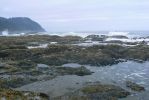 PICTURES/Yachats/t_P1310446.JPG